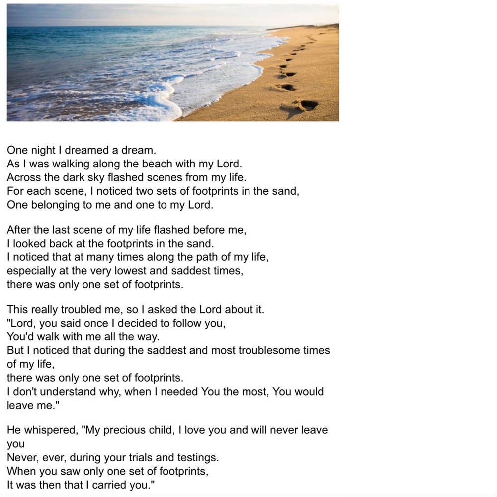 Posh Ambassador! Same Day Shipping!